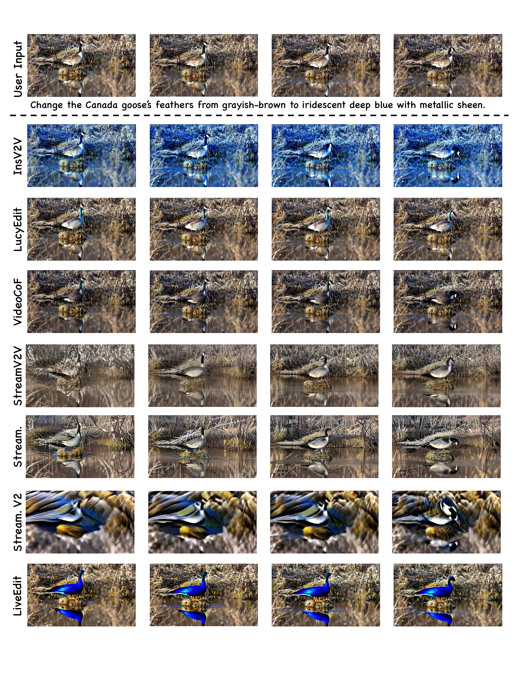 More comparisons 1